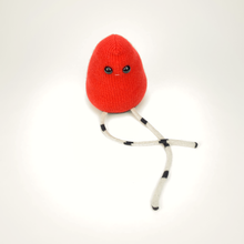 Load image into Gallery viewer, Rascal plush my friend monster™ sweater toy